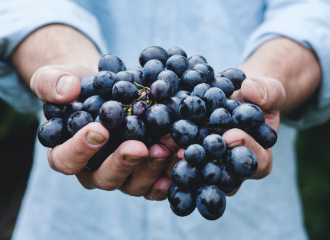 Tast de vins d’altura